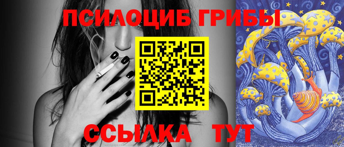 Анапа  Псилоцибиновые грибы мицелий  Вход с VPN 