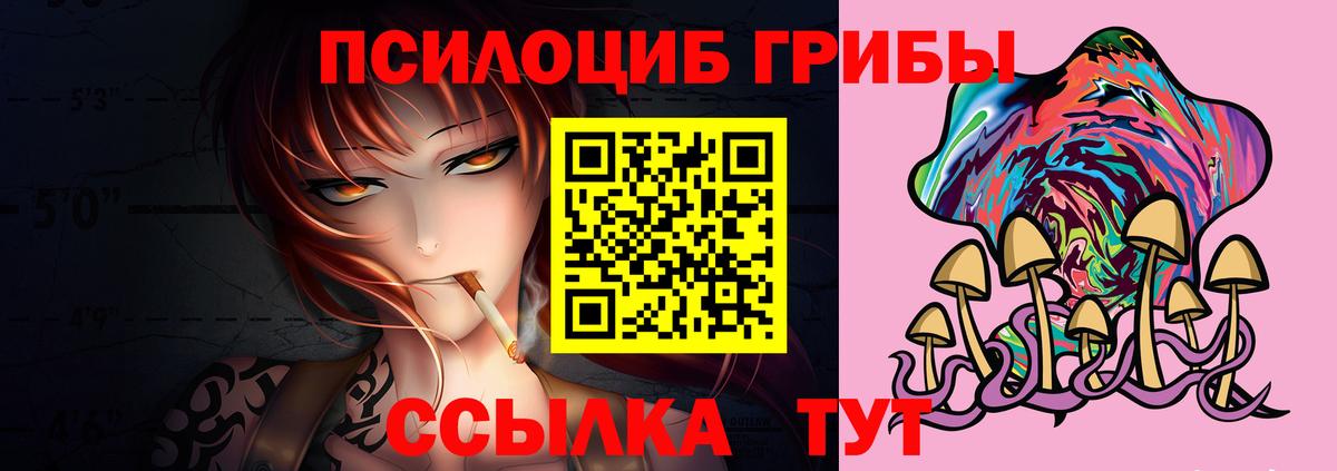 Псилоцибиновые грибы GOLDEN TEACHER Анапа